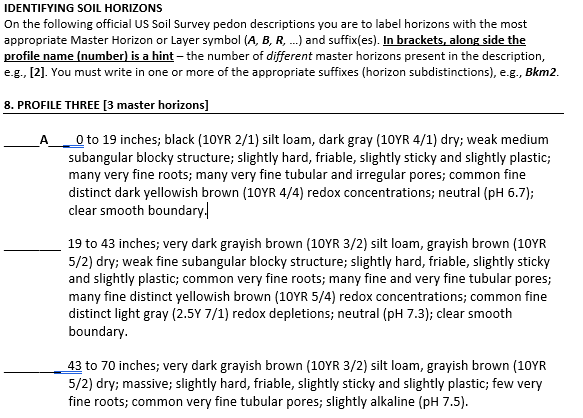 Solved IDENTIFYING SOIL HORIZONS On The Following Official | Chegg.com