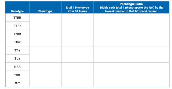 Cross-Checking Activity