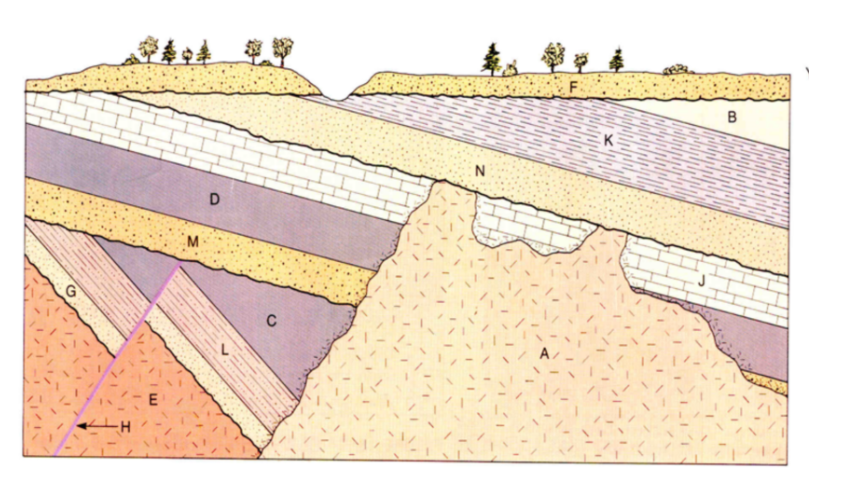 Solved 0 1 Pts Question 2 The Principle Of Cross Cutting Solved 0 1 Pts Question 2 The Principle Of Cross Cutting