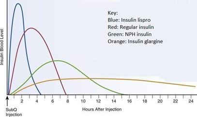 Key: Blue: Insulin lispro Red: Regular insulin Green: NPH insulin Orange: Insulin glargine Insulin Blood Lovel 6 8 12 14 16 1