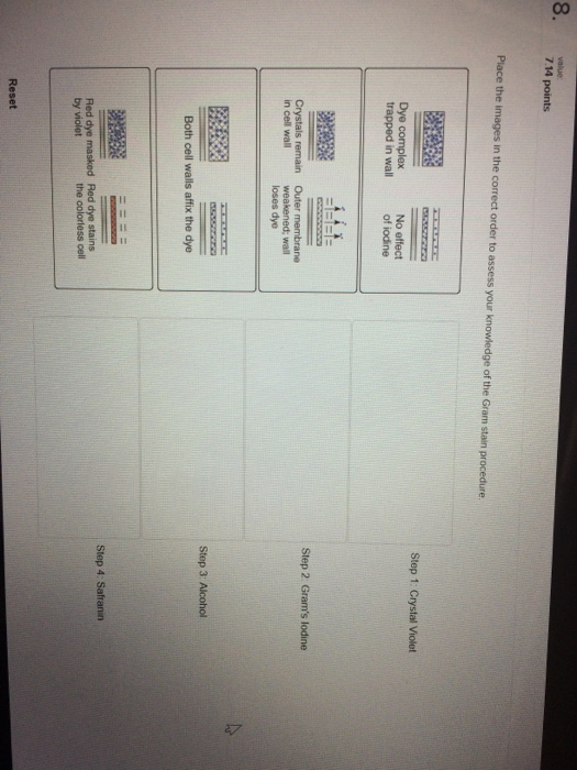 Solved Place the images in the correct order to assess your | Chegg.com