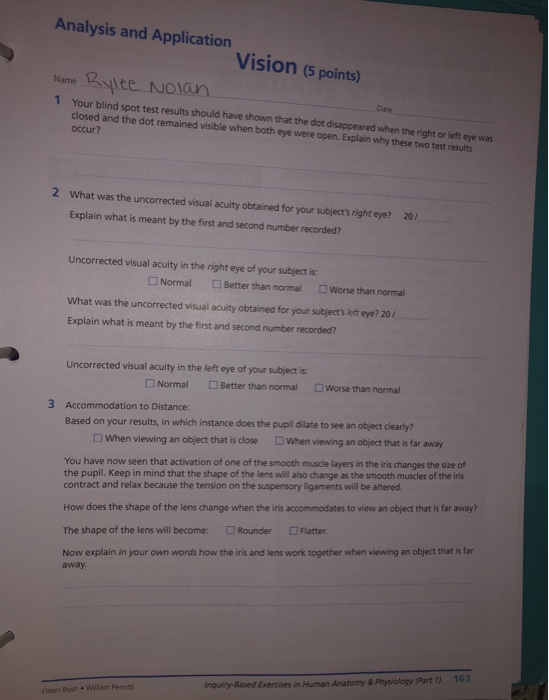 Solved Analysis and Application Vision (5 points) hame Bslte