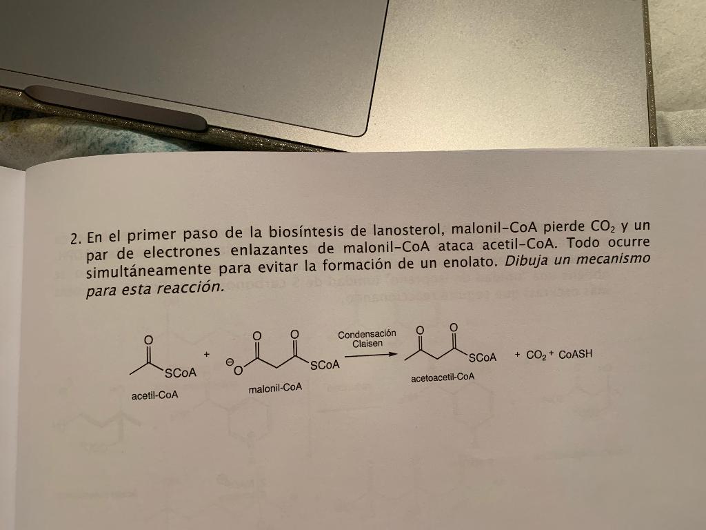 Solved Draw And Explain Verbally The Mechanism Of | Chegg.com