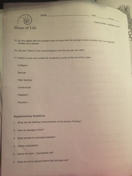 Solved hape of Life Video Title Sponges Origins Video