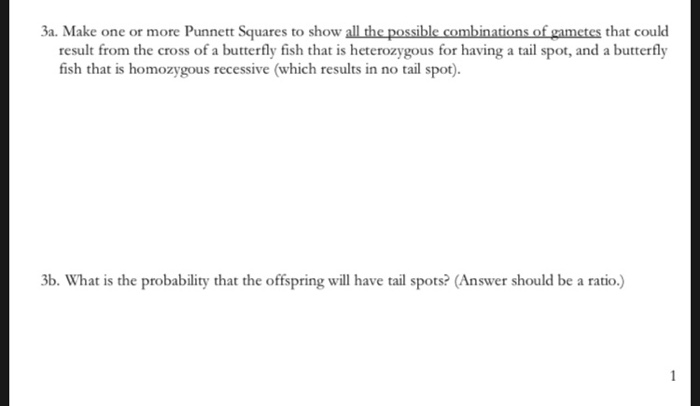 Solved 3a. Make one or more Punnett Squares to show all the | Chegg.com