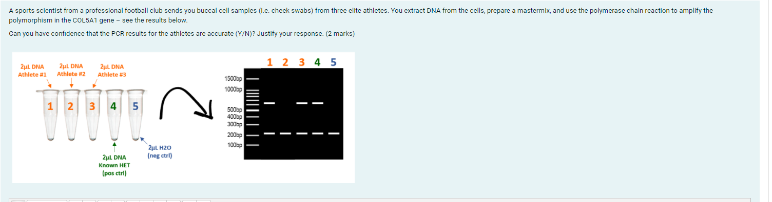 Solved You extract DNA from the cells of a known | Chegg.com