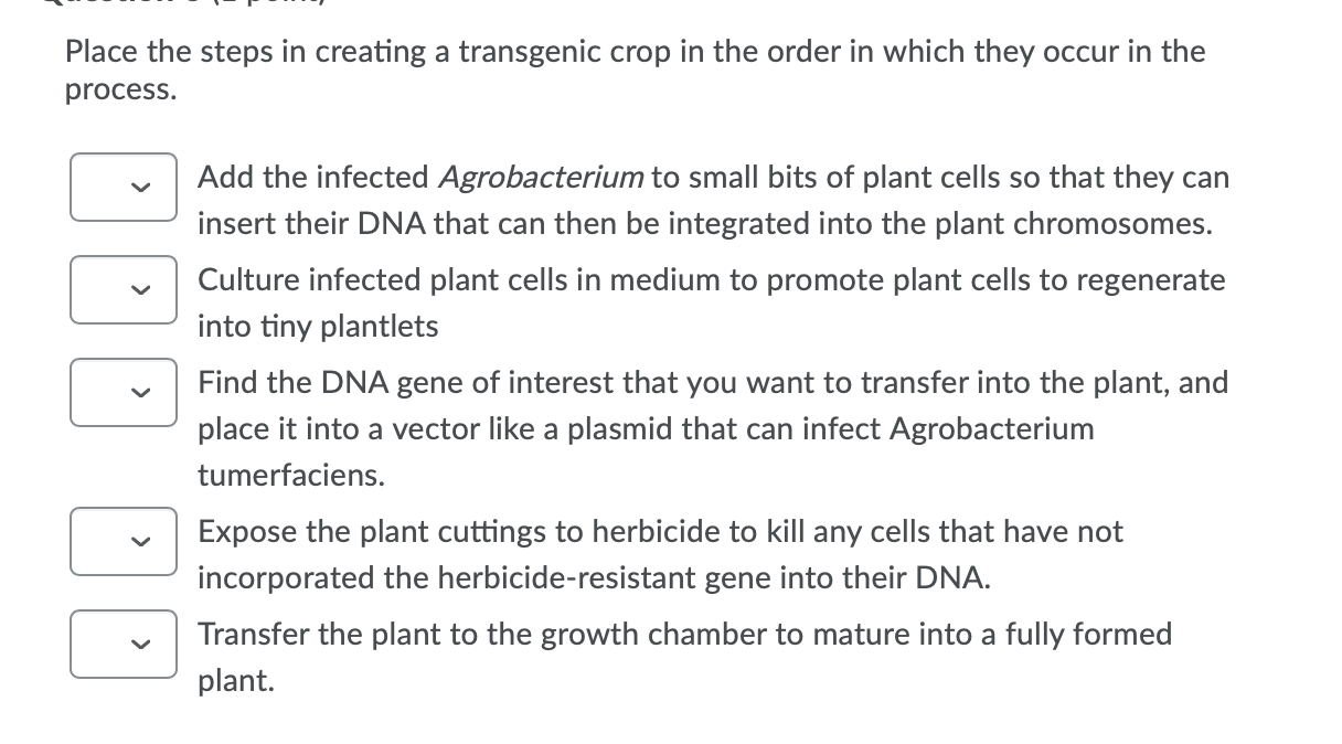 Solved Place the steps in creating a transgenic crop in the | Chegg.com