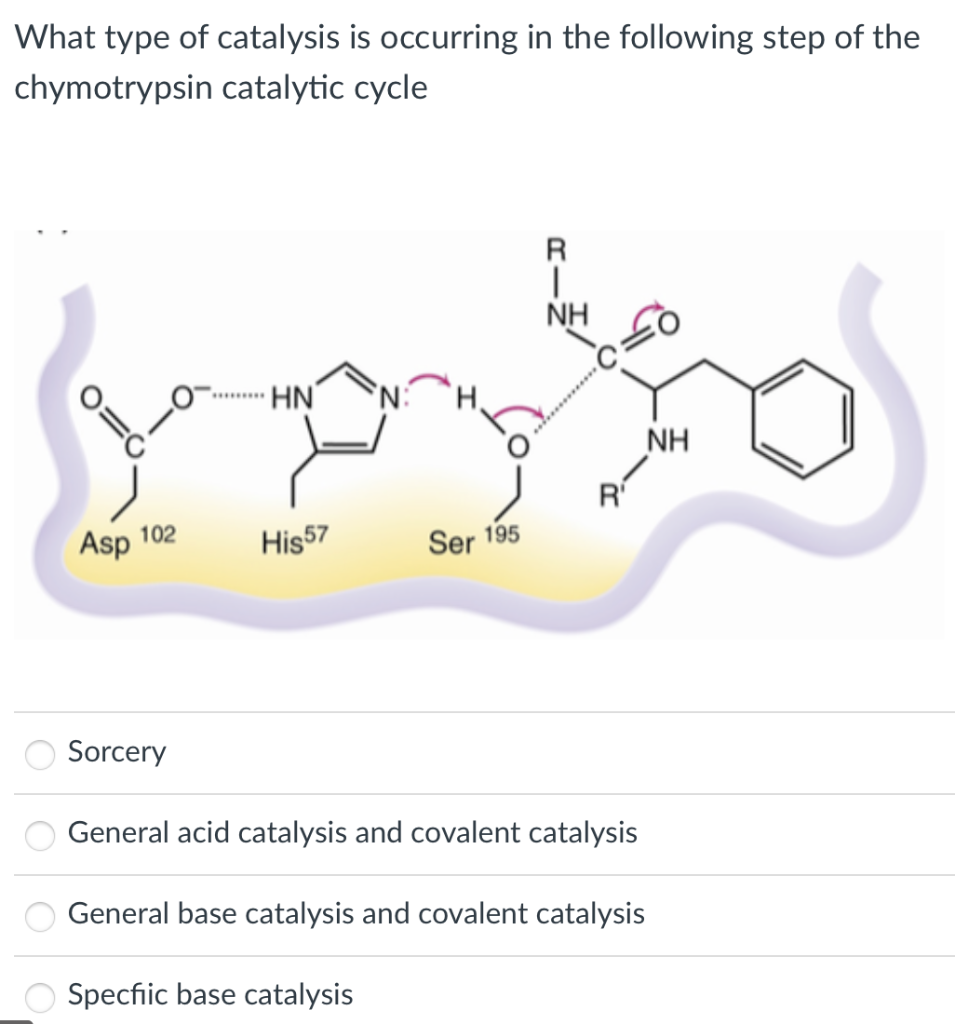 Solved What type of catalysis is occurring in the following | Chegg.com