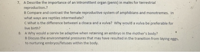 Solved Please answer each question 7 a, b, and c and 8 a, b, | Chegg.com