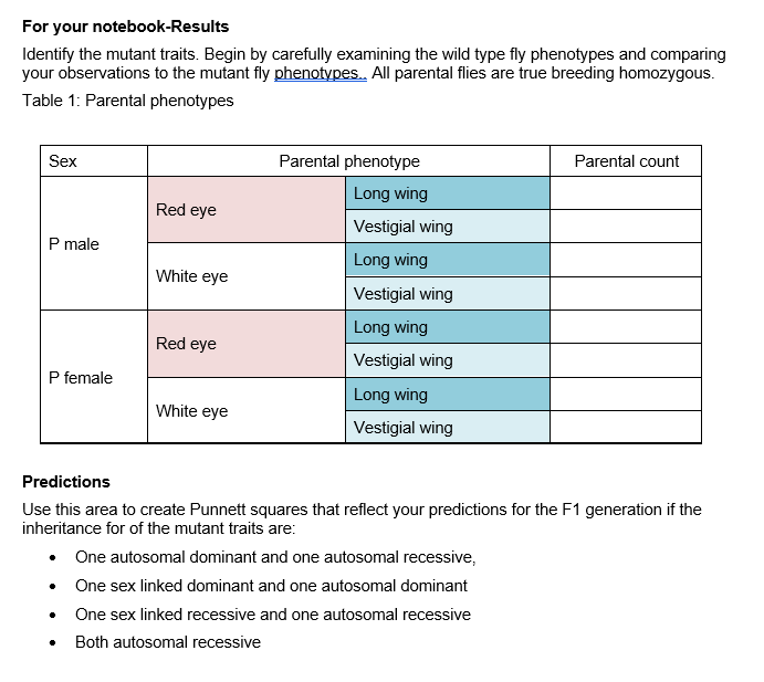 For your notebook-Results Identify the mutant traits. | Chegg.com