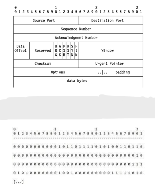 Solved The Transmission Control Protocol is a | Chegg.com