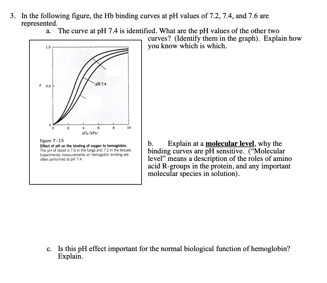Solved 3. In the following figure, the Hb binding curves at | Chegg.com