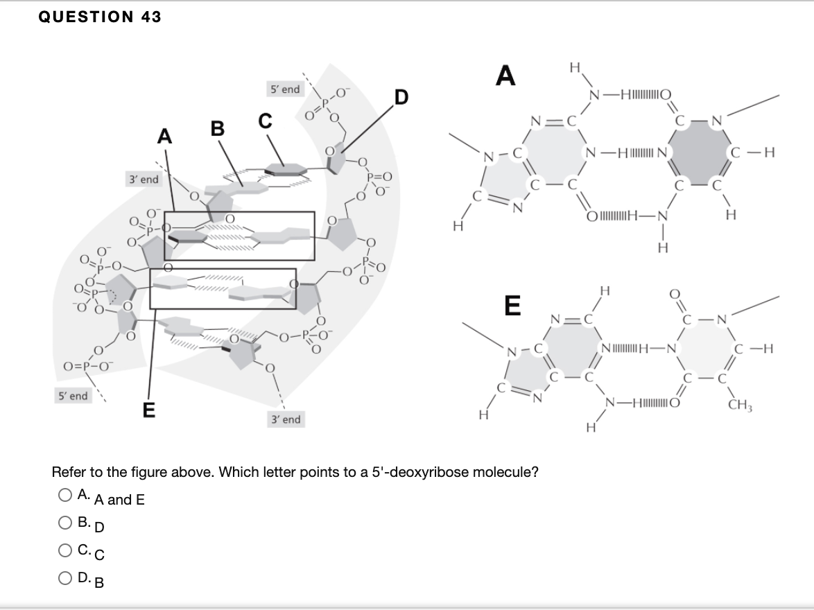 Solved Question 43 N A 5 End Nishshshshshsho N A V S N Hon Chegg Com