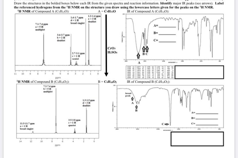 Solved Draw the structures in the bolded boxes below each IR | Chegg.com