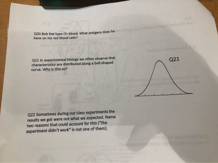 Solved 020 Bob has type O+ blood. What antigens does he have