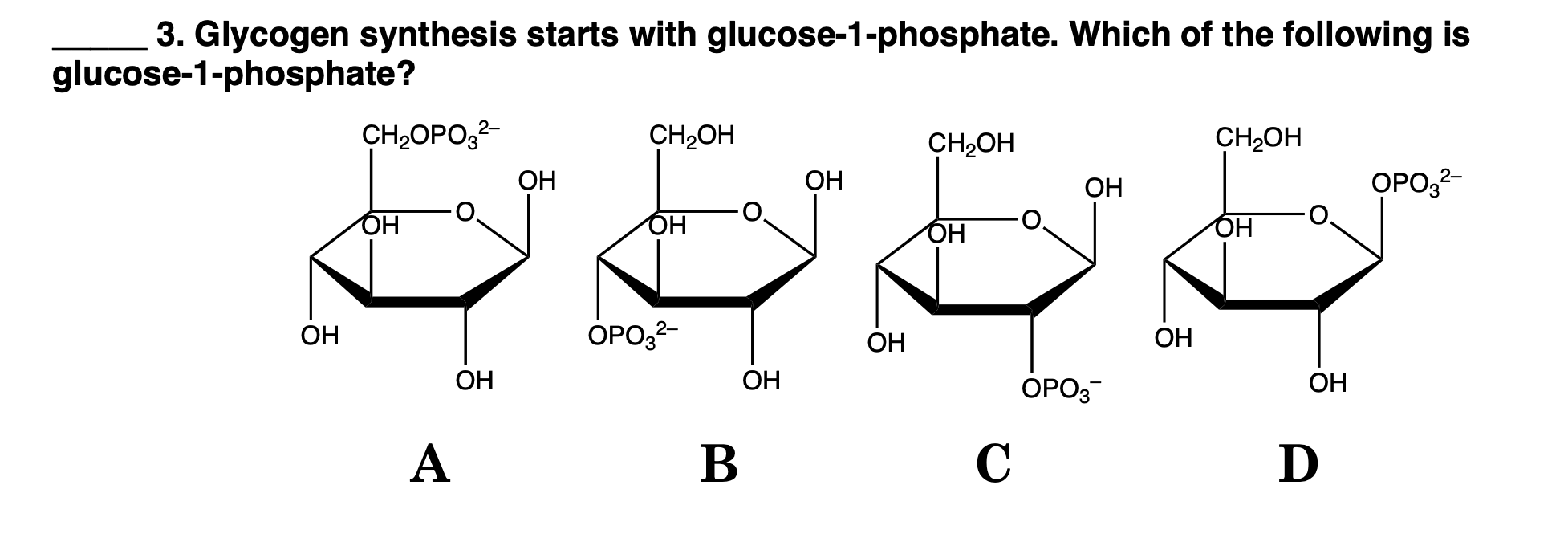 Solved 3. Glycogen synthesis starts with | Chegg.com