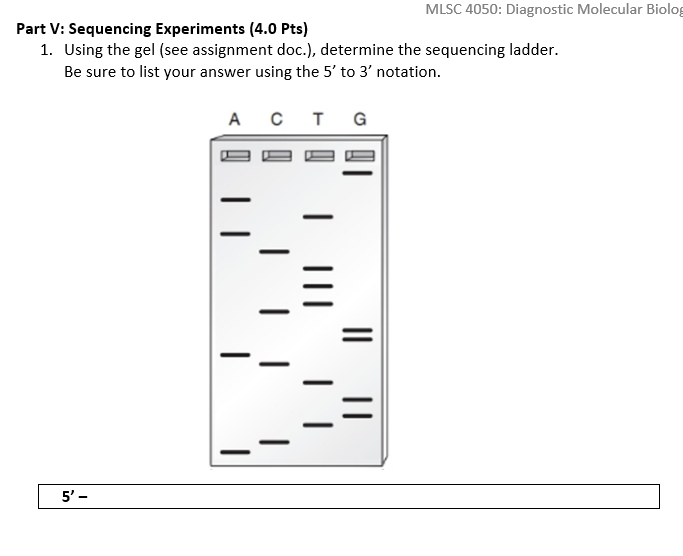 Solved Part V: Sequencing Experiments (4.0 Pts) 1. Using the | Chegg.com