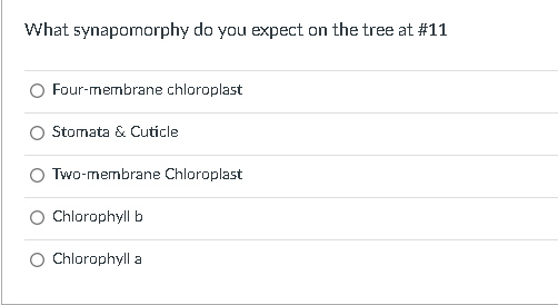 What synapomorphy do you expect on the tree at \( \# 11 \)
Four-membrane chloroplast
Stomata \& Cuticle
Two-membrane Chloropl