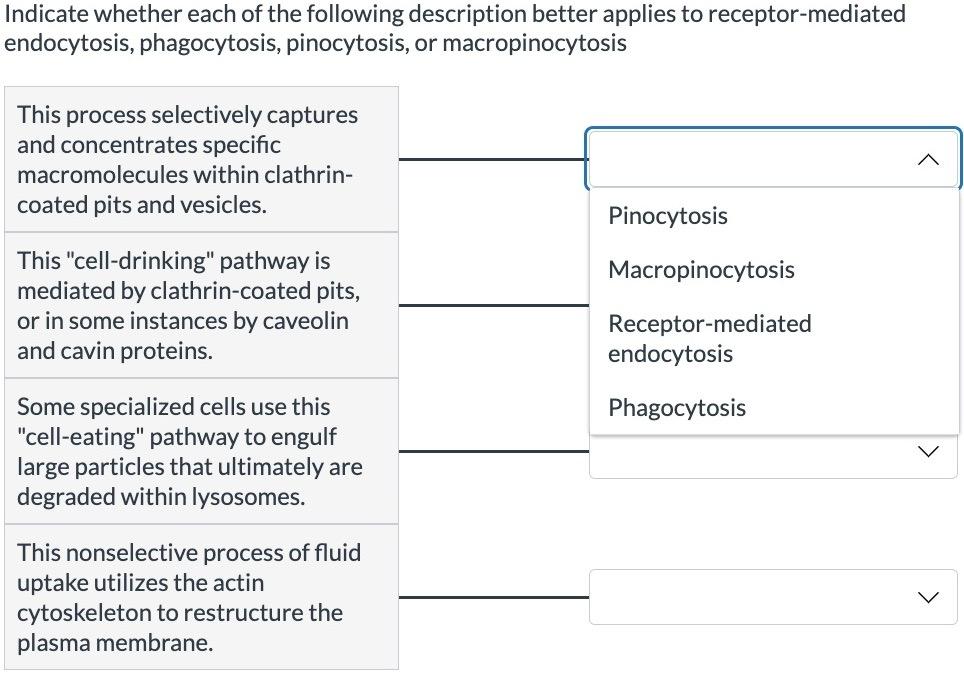 Indicate whether each of the following description better applies to receptor-mediated