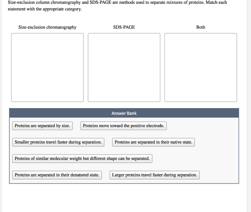 Solved Sizeexclusion column chromatography and SDSPAGE are