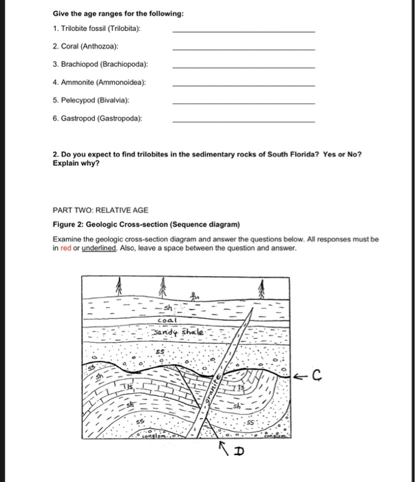 Relative Dating Worksheet Fossils Telegraph