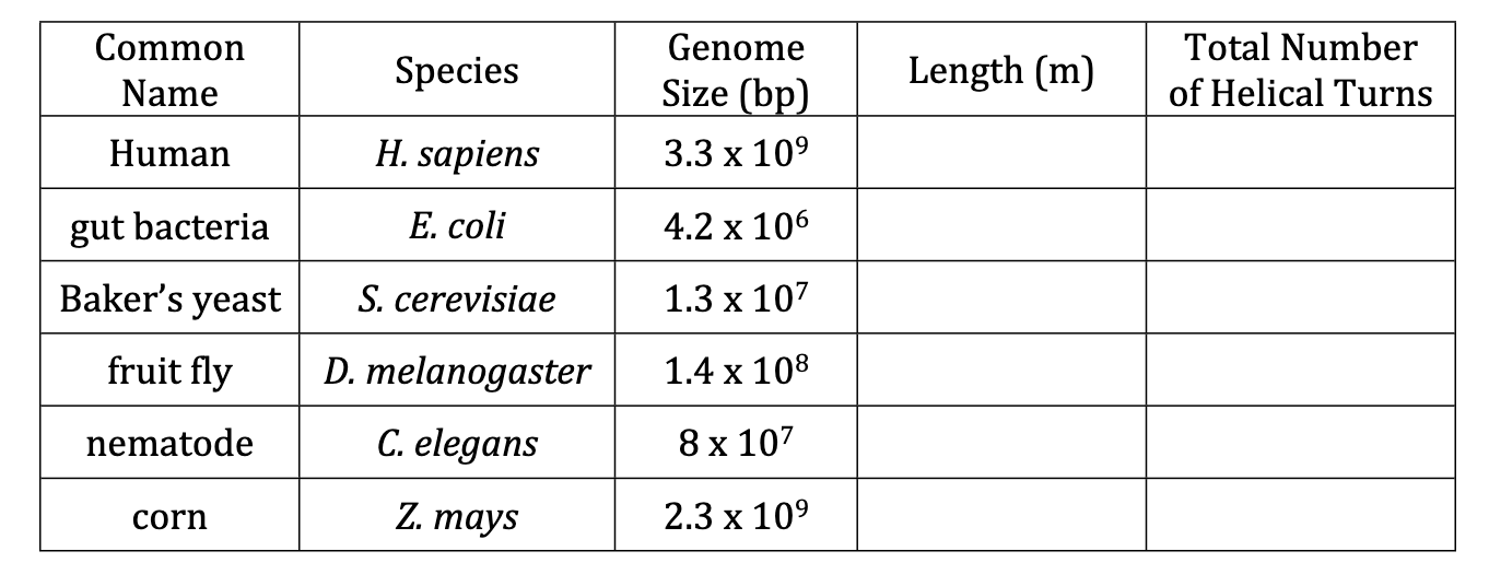 Solved The table shows the genome sizes of humans and