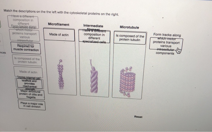 Solved Match the descriptions on the left with the | Chegg.com
