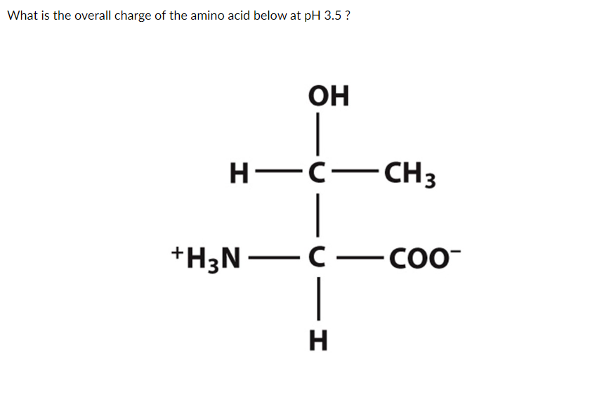 Solved What one letter code represents the third amino acid | Chegg.com