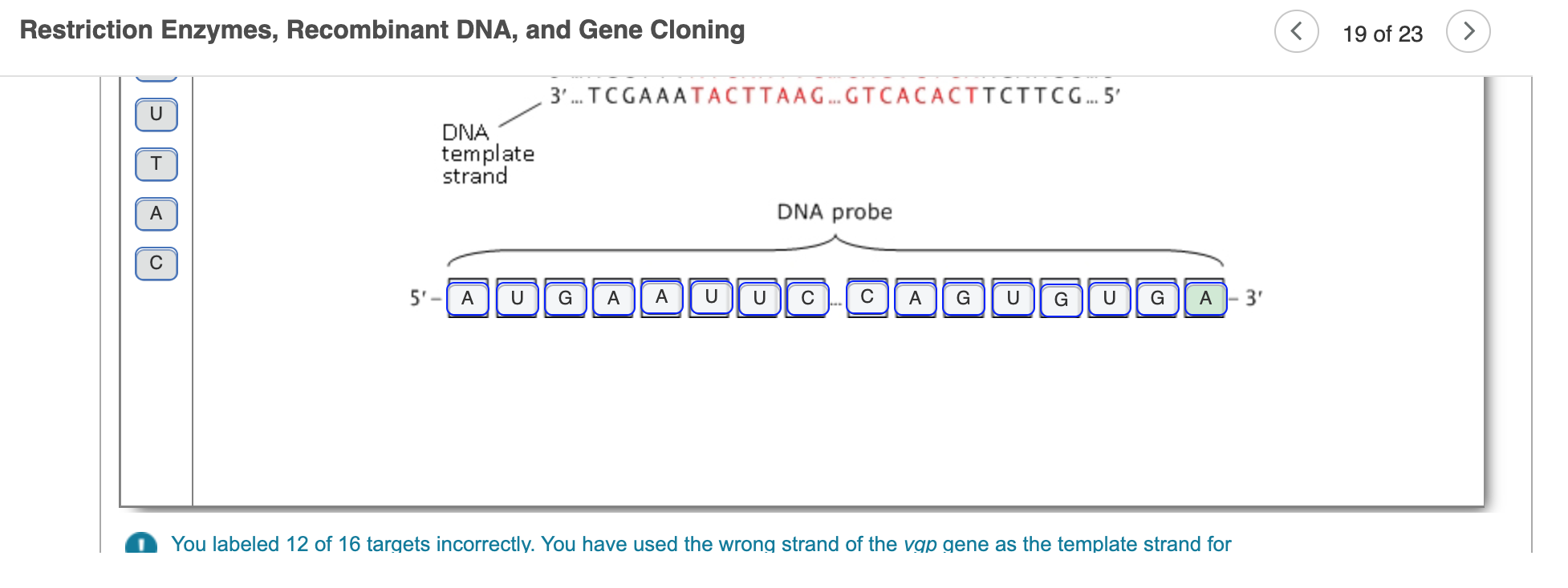 Solved The Photo Above Is Instructions From My Professor Chegg Com