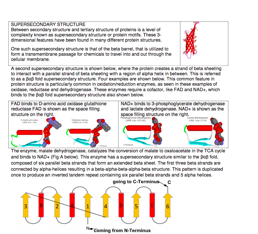 super secondary structure of protein