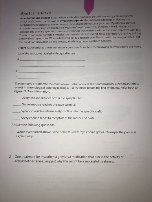 Solved Myasthenia Gravis An autoimmune disease occurs when