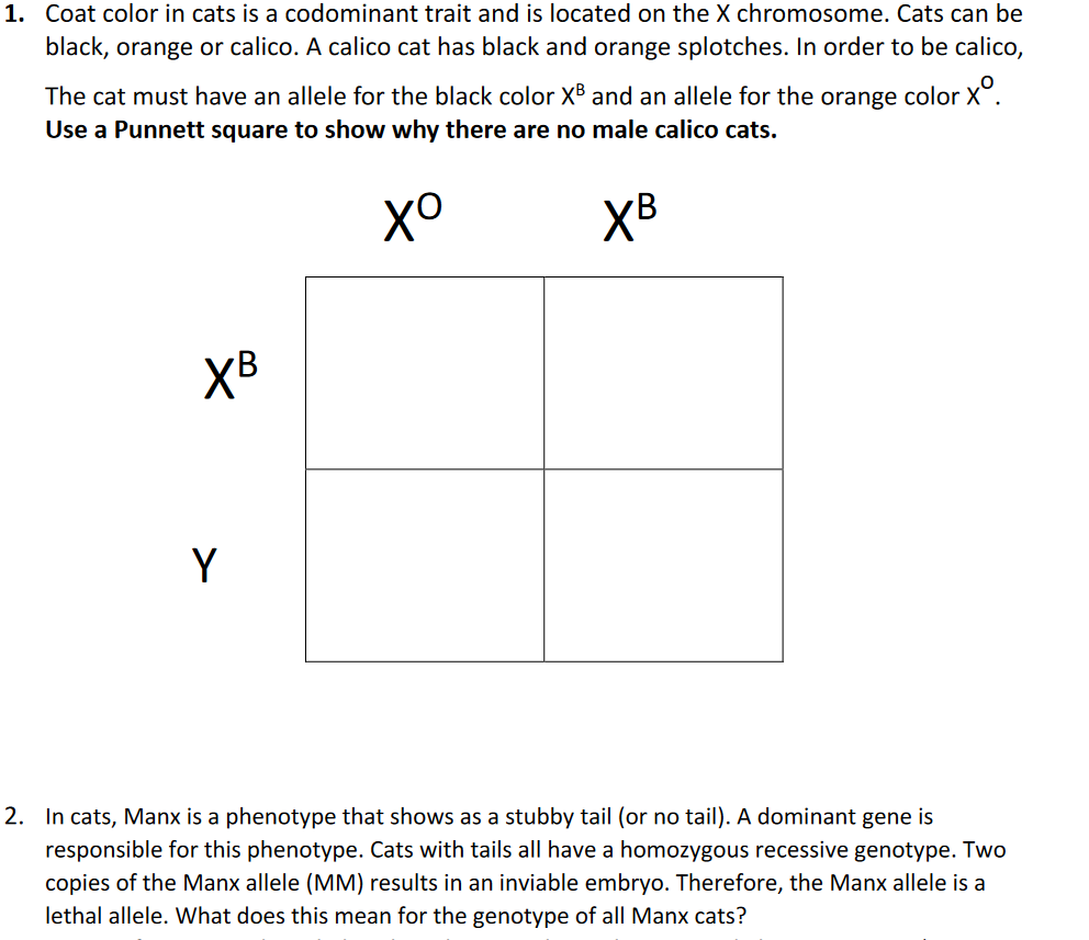 Solved 1. Coat color in cats is a codominant trait and is