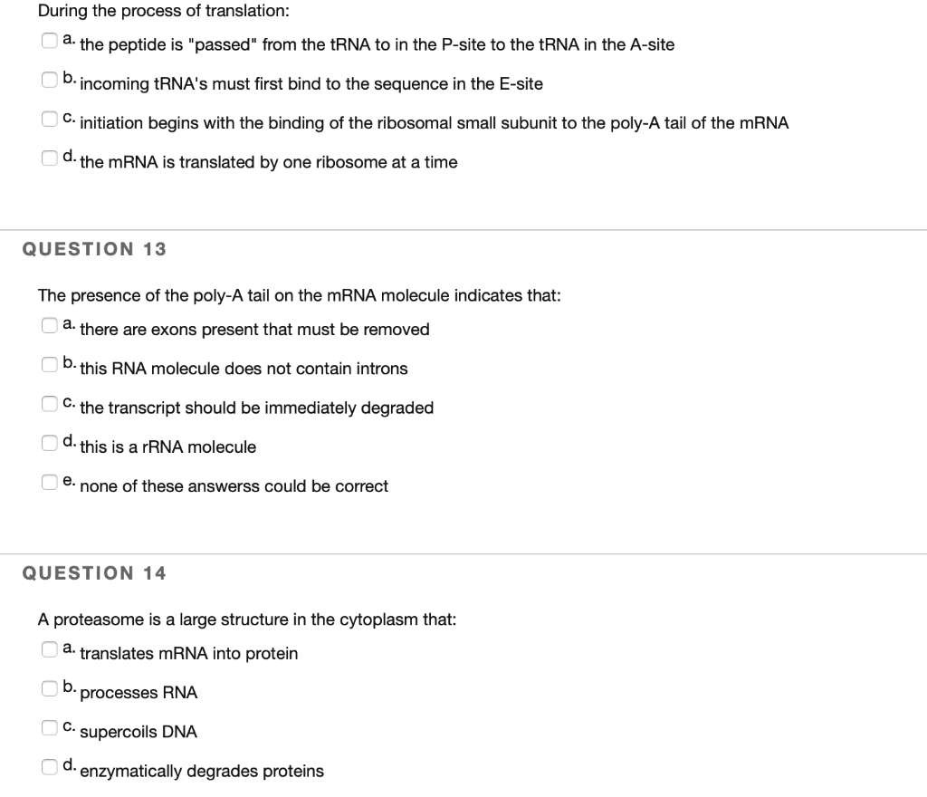 Solved During the process of translation: a. the peptide is | Chegg.com