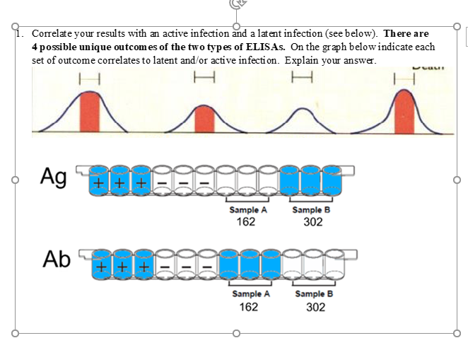 Solved 9. Correlate your results with an active infection | Chegg.com