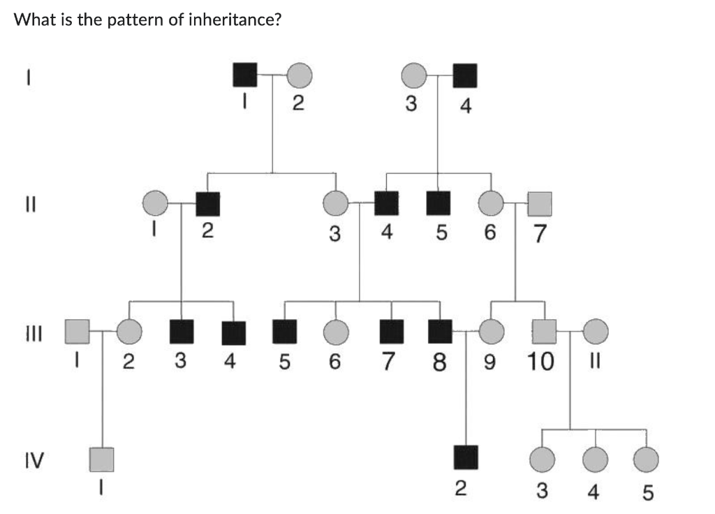 Solved What Is The Pattern Of Inheritance? | Chegg.com