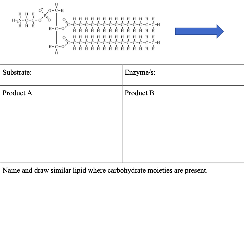 Solved Recognize The Substrates Shown In The Pictures And | Chegg.com