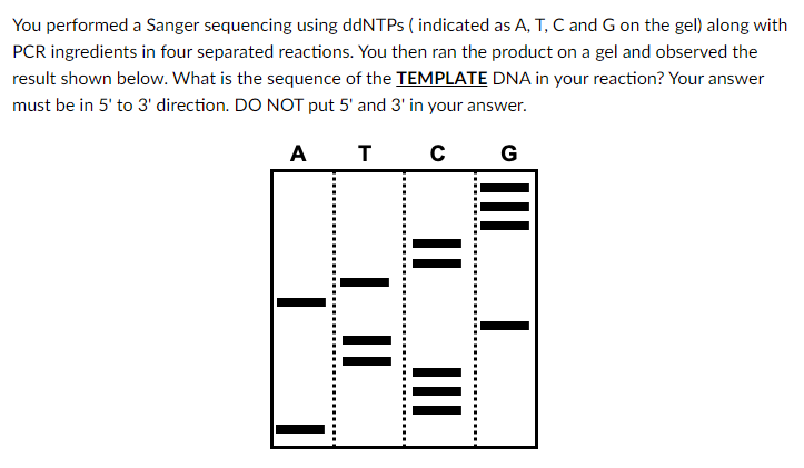 Solved You performed a Sanger sequencing using ddNTPs ( | Chegg.com