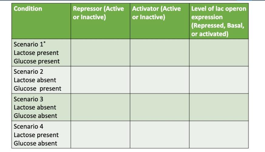 Solved Condition Repressor (Active Activator (Active Level | Chegg.com