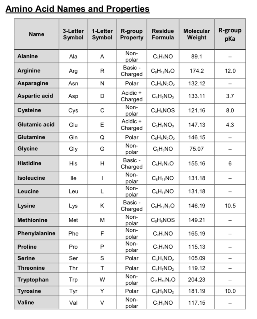 Amino Acid Symbols