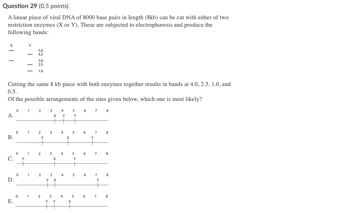 Solved Question 29 (0.5 points) A linear piece of viral DNA | Chegg.com