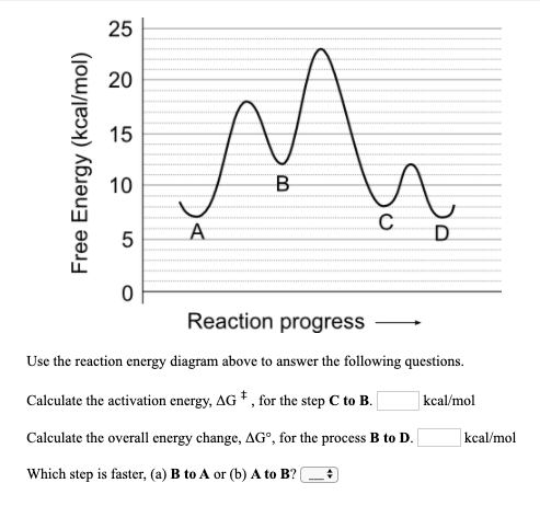 Solved Use the reaction energy diagram above to answer the | Chegg.com