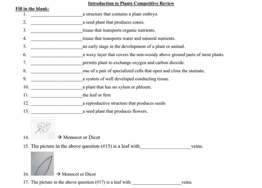 Solved Introduction to Plants Competitive Review Fill in the | Chegg.com