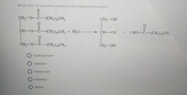 Solved What class of enzymes catalyzes the following | Chegg.com