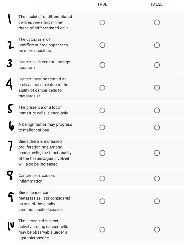 distinguish-between-undifferentiated-cells-and-differenetiated-cells