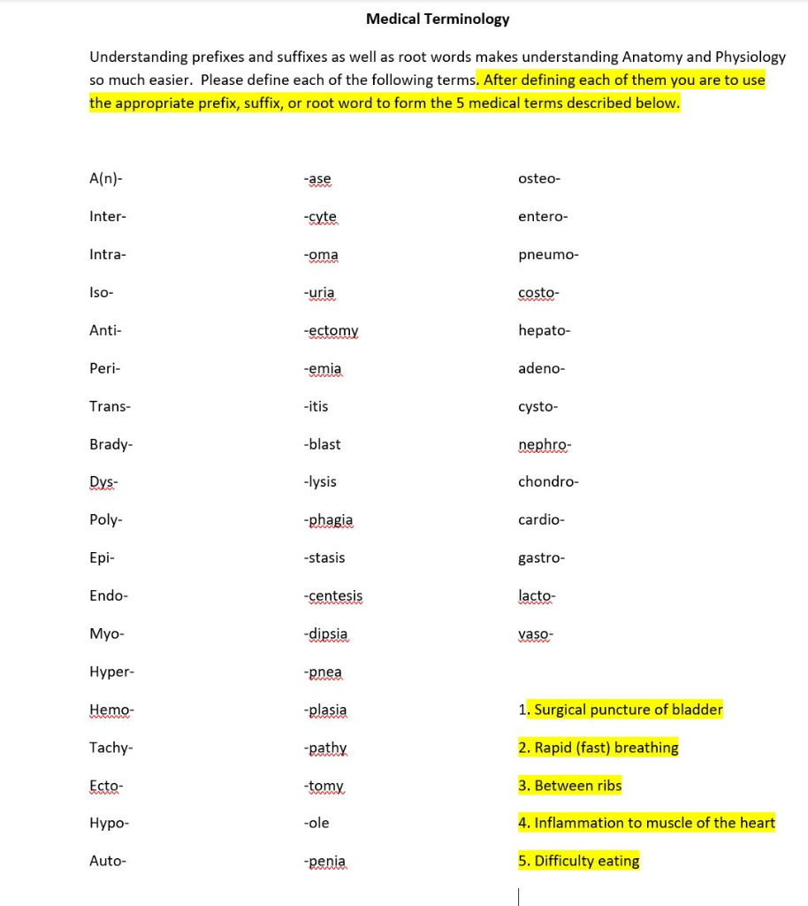 solved-medical-terminology-understanding-prefixes-and-chegg