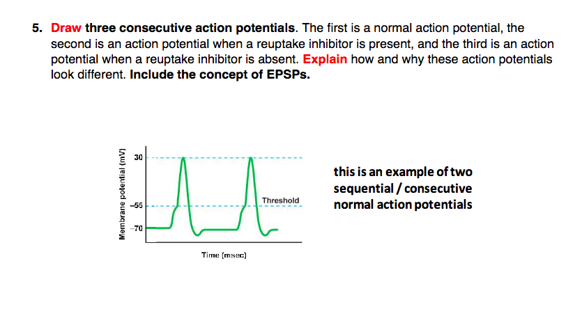 Draw three consecutive action potentials. The first is a normal action potential, the second is an action potential when a re