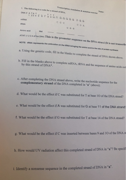 Solved 1. The following is a code for a strand of DNA DNA 3' | Chegg.com