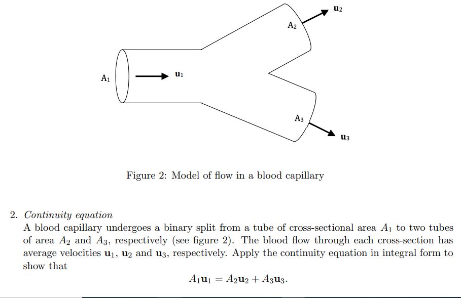 Solved uz Az A1 u1 A3 u3 Figure 2: Model of flow in a blood | Chegg.com