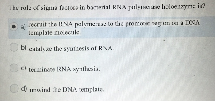 Solved The role of sigma factors in bacterial RNA polymerase | Chegg.com