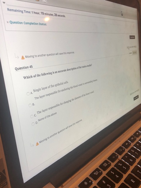 Solved Remaining Time: 1 hour, 19 minutes, 32 seconds. | Chegg.com